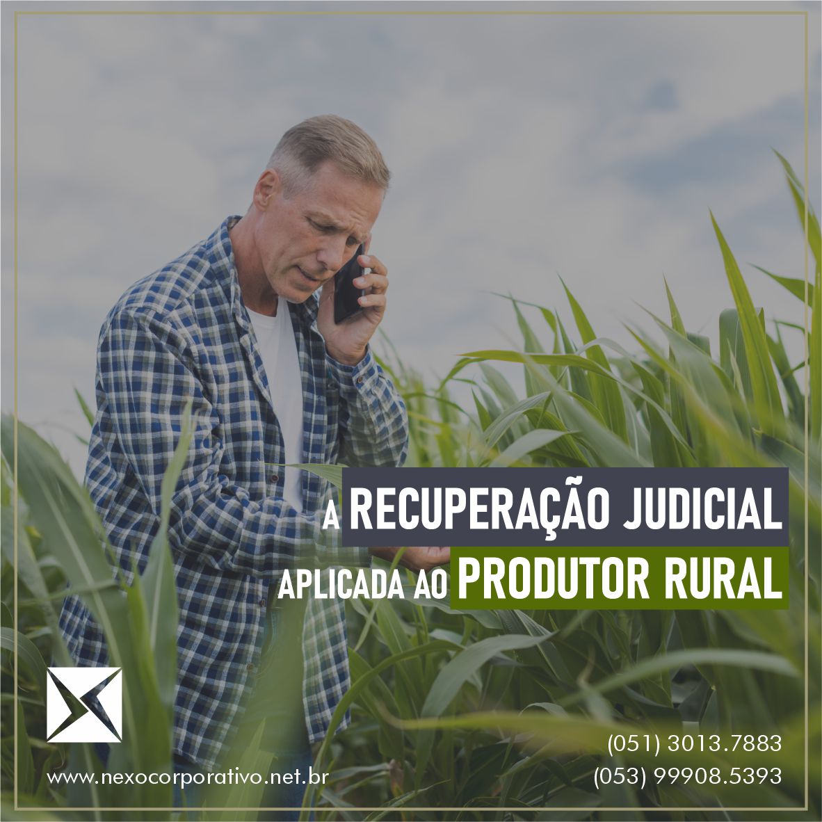 A Recuperação Judicial Aplicada Ao Produtor Rural Nexo Corporativo